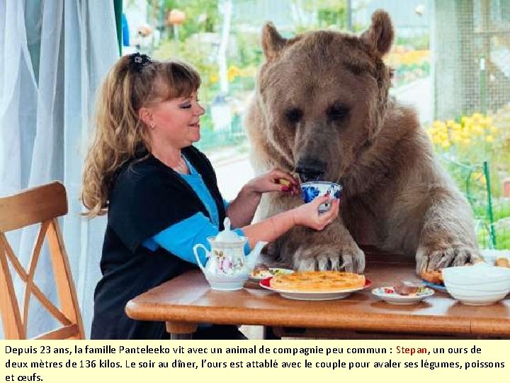 Depuis 23 ans, la famille Panteleeko vit avec un animal de compagnie peu commun