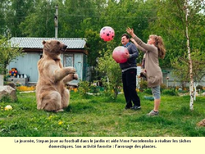 La journée, Stepan joue au football dans le jardin et aide Mme Panteleenko à