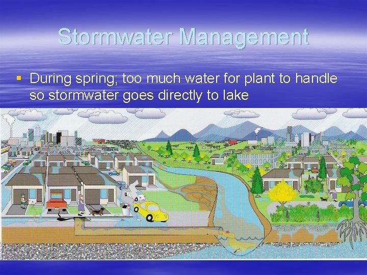 Stormwater Management § During spring; too much water for plant to handle so stormwater