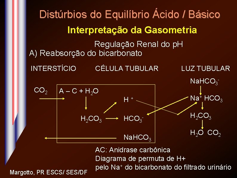 Distúrbios do Equilíbrio Ácido / Básico Interpretação da Gasometria Regulação Renal do p. H