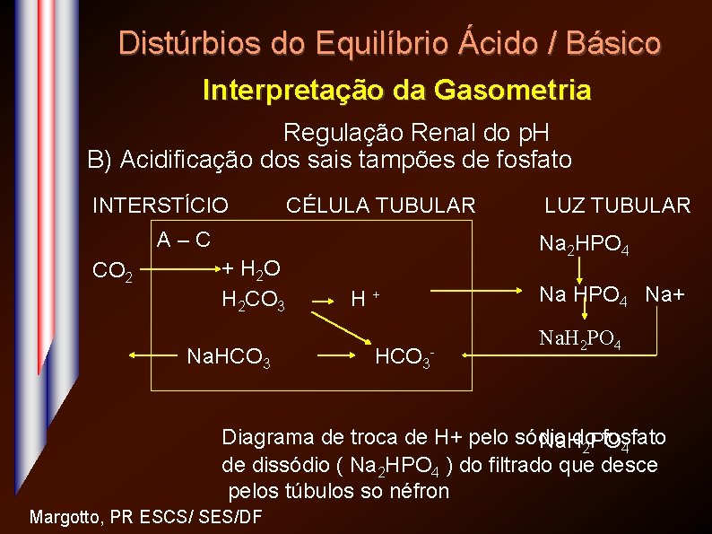 Distúrbios do Equilíbrio Ácido / Básico Interpretação da Gasometria Regulação Renal do p. H