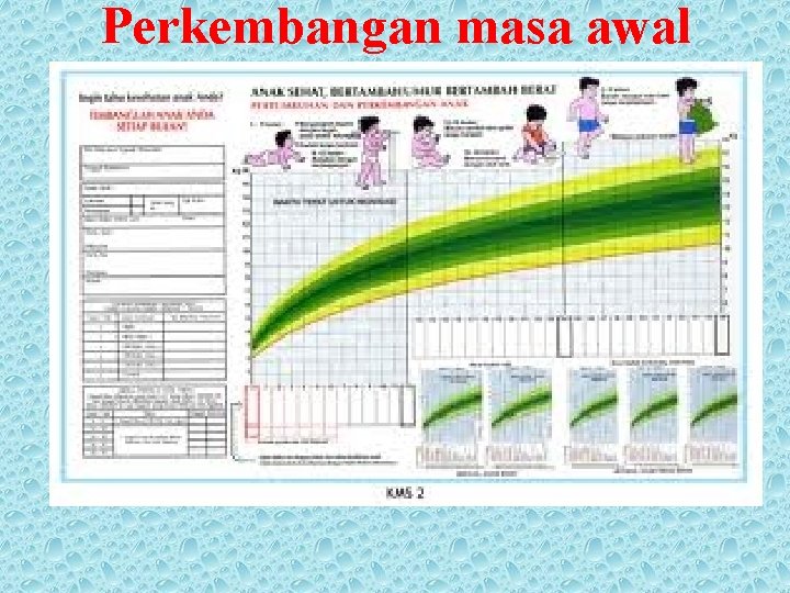 Perkembangan masa awal 