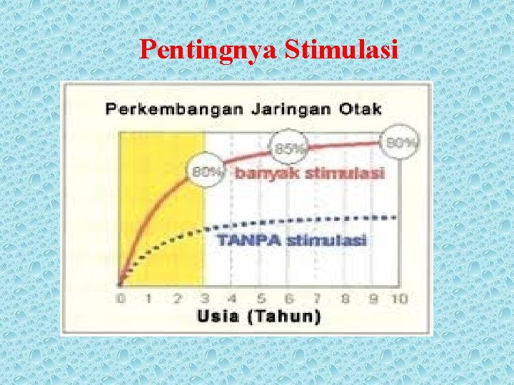 Pentingnya Stimulasi 