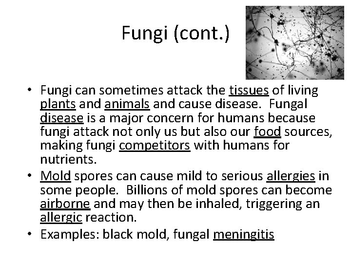Fungi (cont. ) • Fungi can sometimes attack the tissues of living plants and
