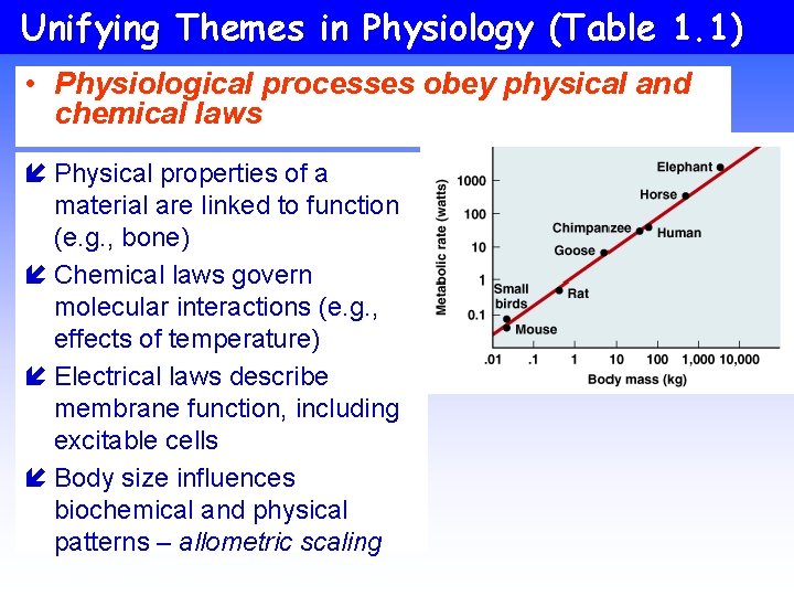 Unifying Themes in Physiology (Table 1. 1) • Physiological processes obey physical and chemical