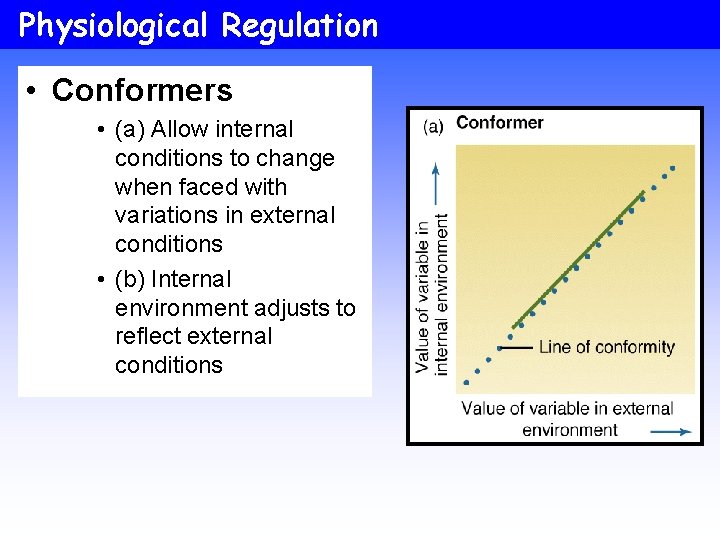 Physiological Regulation • Conformers • (a) Allow internal conditions to change when faced with