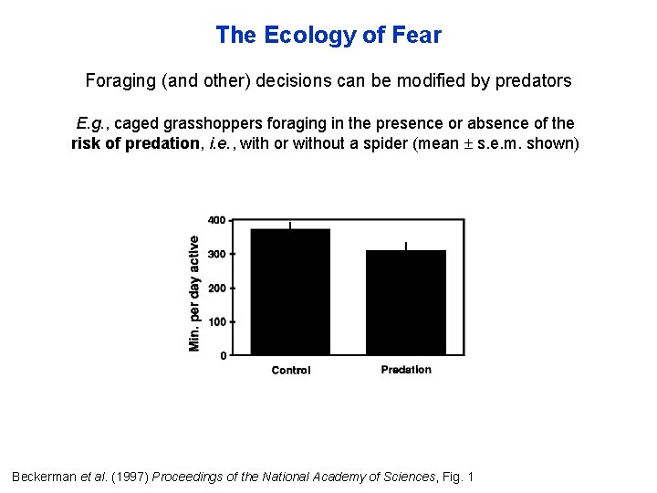 The Ecology of Fear Foraging (and other) decisions can be modified by predators E.
