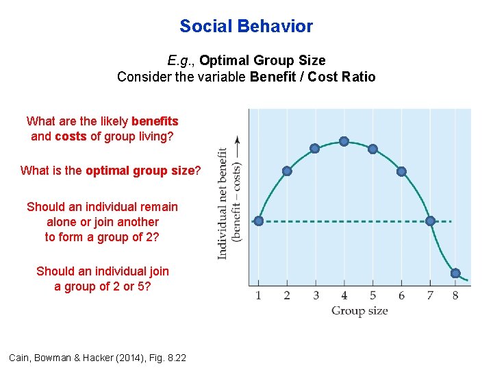 Social Behavior E. g. , Optimal Group Size Consider the variable Benefit / Cost