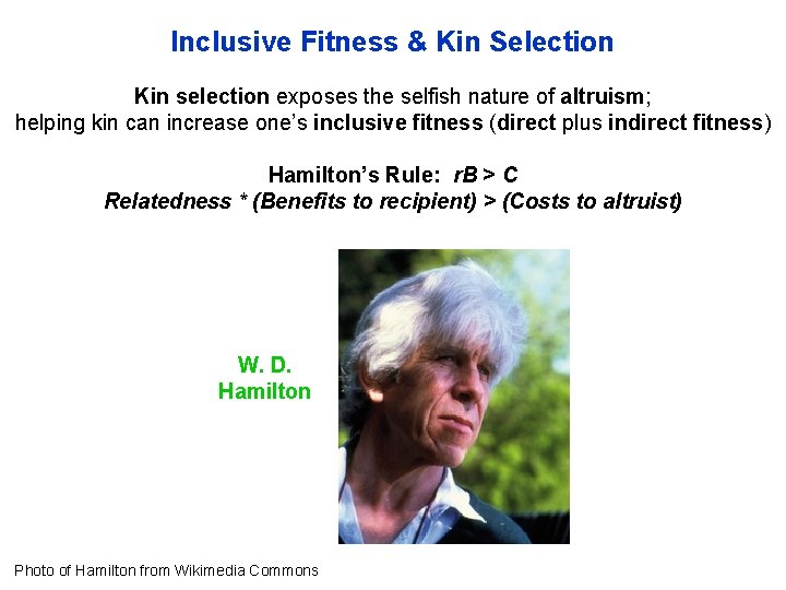 Inclusive Fitness & Kin Selection Kin selection exposes the selfish nature of altruism; helping