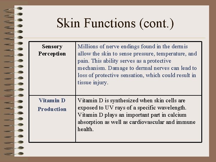 Skin Functions (cont. ) Sensory Perception Millions of nerve endings found in the dermis