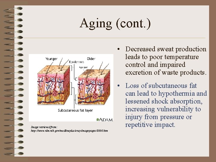 Aging (cont. ) • Decreased sweat production leads to poor temperature control and impaired
