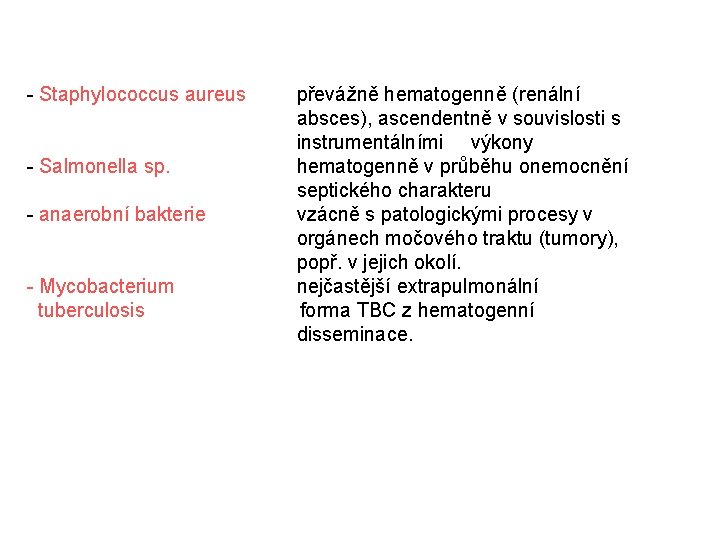 - Staphylococcus aureus převážně hematogenně (renální absces), ascendentně v souvislosti s instrumentálními výkony -