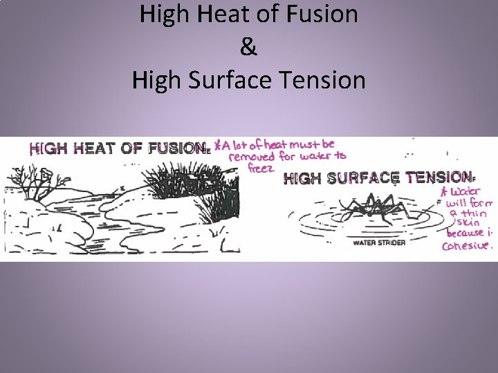 High Heat of Fusion & High Surface Tension 