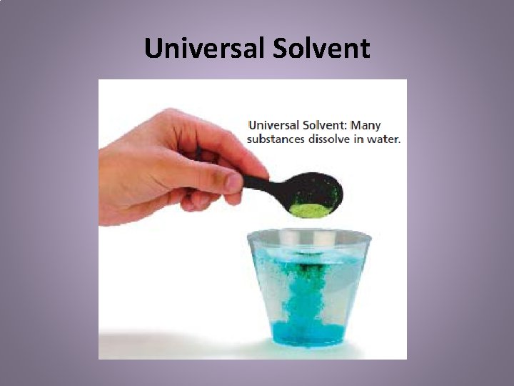 Universal Solvent 