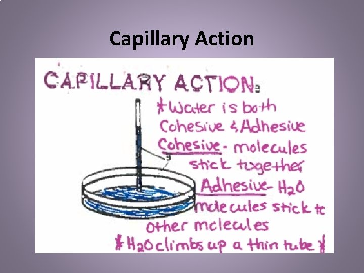 Capillary Action 