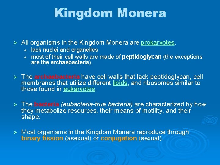 Kingdom Monera Ø All organisms in the Kingdom Monera are prokaryotes. l l lack