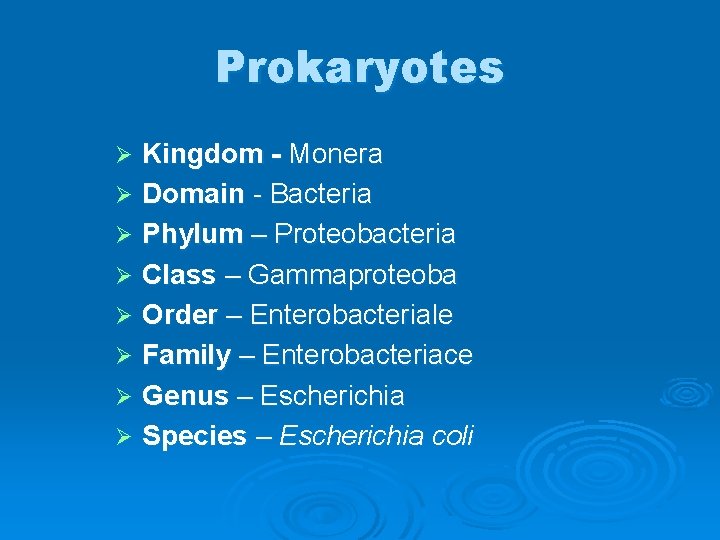 Prokaryotes Kingdom - Monera Ø Domain - Bacteria Ø Phylum – Proteobacteria Ø Class