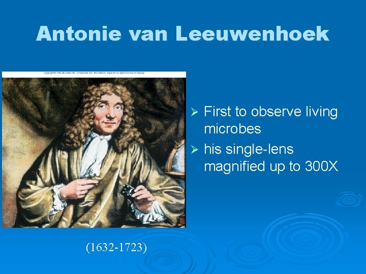 Antonie van Leeuwenhoek First to observe living microbes Ø his single-lens magnified up to