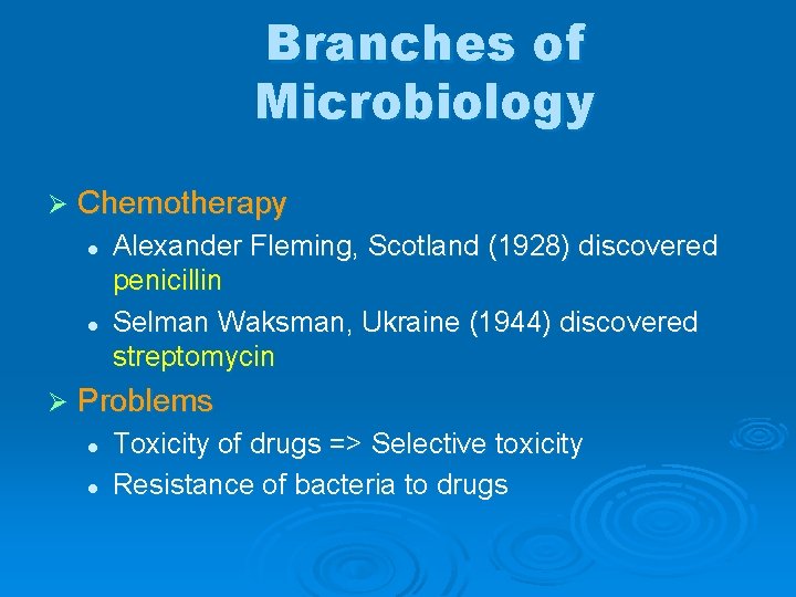 Branches of Microbiology Ø Chemotherapy l l Ø Alexander Fleming, Scotland (1928) discovered penicillin