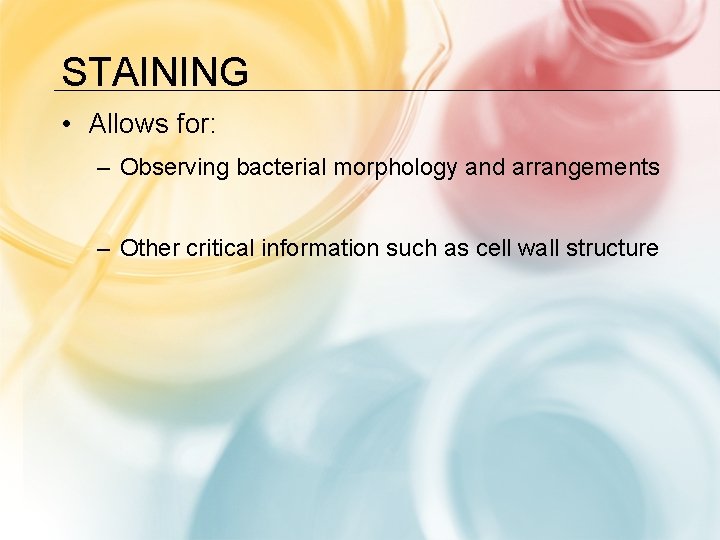 STAINING • Allows for: – Observing bacterial morphology and arrangements – Other critical information