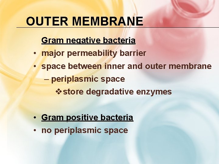 OUTER MEMBRANE Gram negative bacteria • major permeability barrier • space between inner and