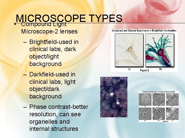 MICROSCOPE TYPES • Compound Light Microscope-2 lenses – Brightfield-used in clinical labs, dark object/light