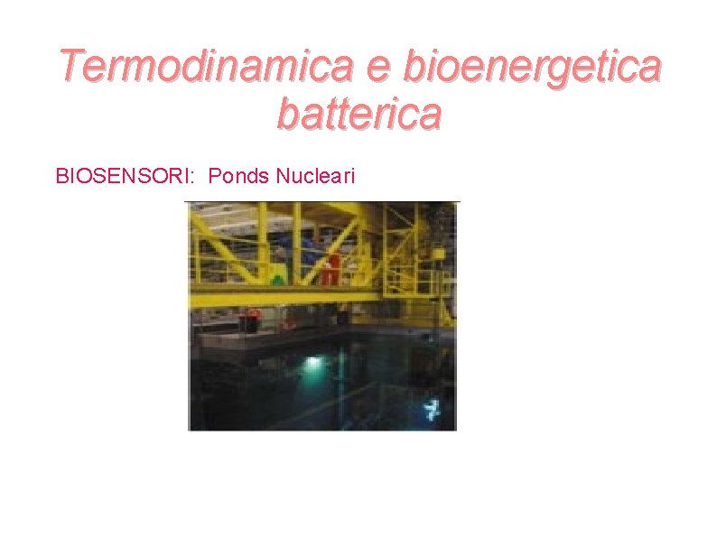 Termodinamica e bioenergetica batterica BIOSENSORI: Ponds Nucleari Termodinamica e bioenergetica batterica BIOSENSORI: Ponds Nucleari