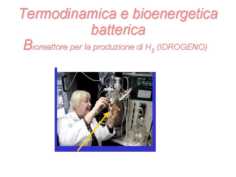 Termodinamica e bioenergetica batterica Bioreattore per la produzione di H (IDROGENO) 2 Termodinamica e bioenergetica batterica Bioreattore per la produzione di H (IDROGENO) 2