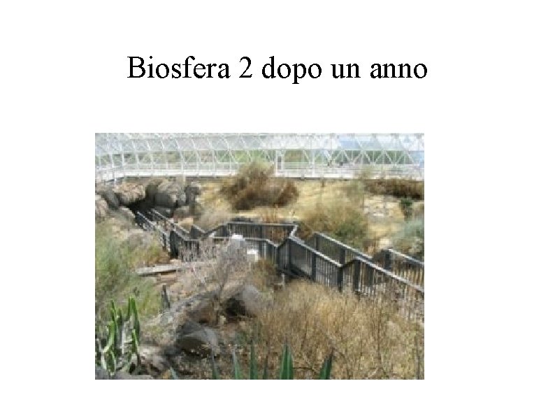 Biosfera 2 dopo un anno Biosfera 2 dopo un anno