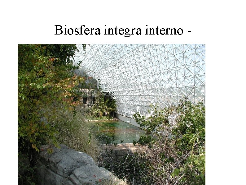 Biosfera integra interno - Biosfera integra interno -