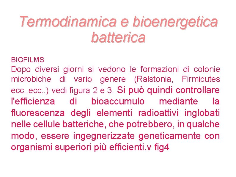 Termodinamica e bioenergetica batterica BIOFILMS Dopo diversi giorni si vedono le formazioni di colonie Termodinamica e bioenergetica batterica BIOFILMS Dopo diversi giorni si vedono le formazioni di colonie