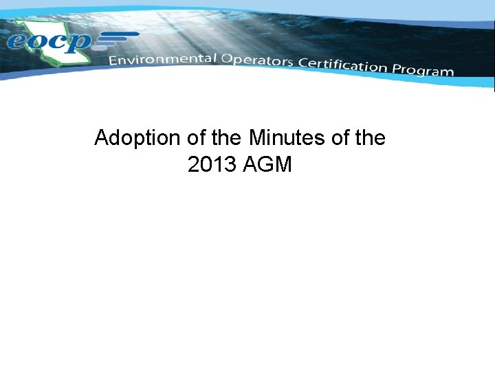 Adoption of the Minutes of the 2013 AGM 