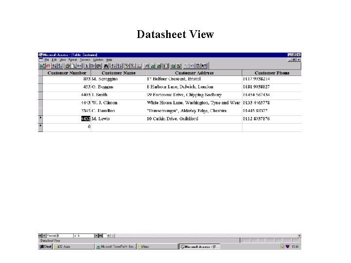 Datasheet View 
