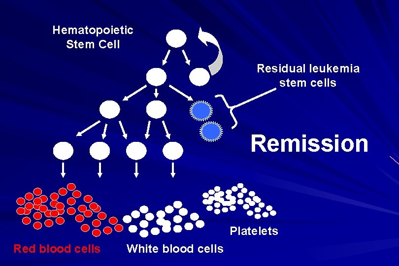 Hematopoietic Stem Cell Residual leukemia stem cells Remission Platelets Red blood cells White blood