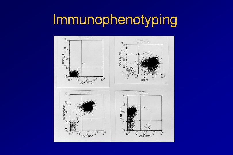  Immunophenotyping 