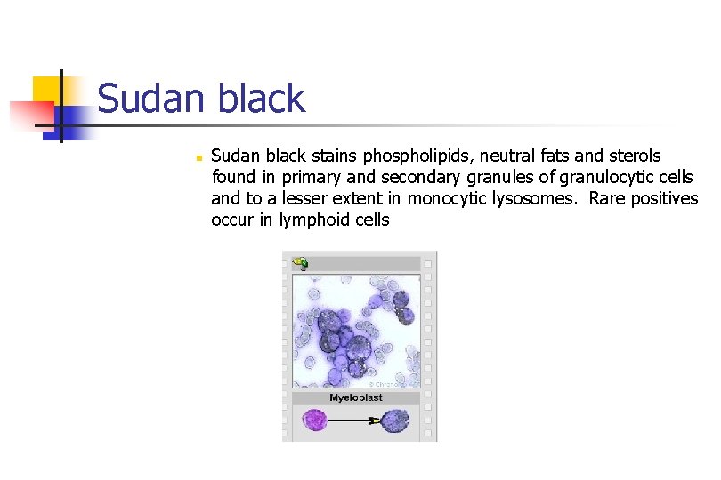 Sudan black n Sudan black stains phospholipids, neutral fats and sterols found in primary