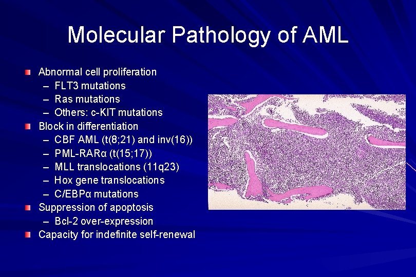 Molecular Pathology of AML Abnormal cell proliferation – FLT 3 mutations – Ras mutations