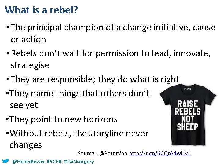 What is a rebel? • The principal champion of a change initiative, cause or