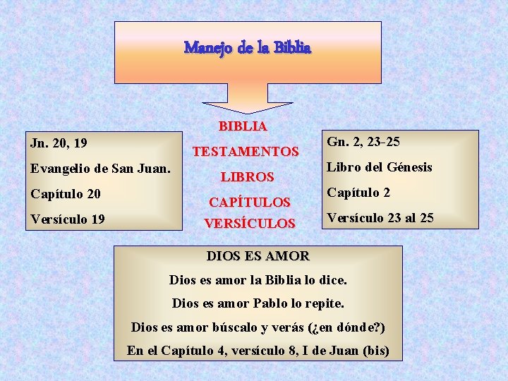 Manejo de la Biblia BIBLIA Jn. 20, 19 TESTAMENTOS Evangelio de San Juan. Capítulo