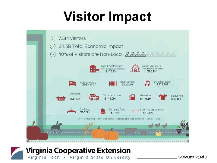 Visitor Impact 