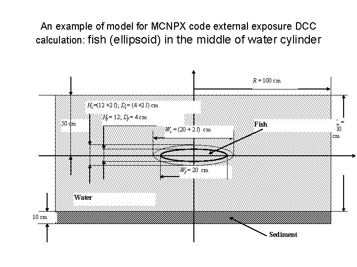 An example of model for MCNPX code external exposure DCC calculation: fish (ellipsoid) in