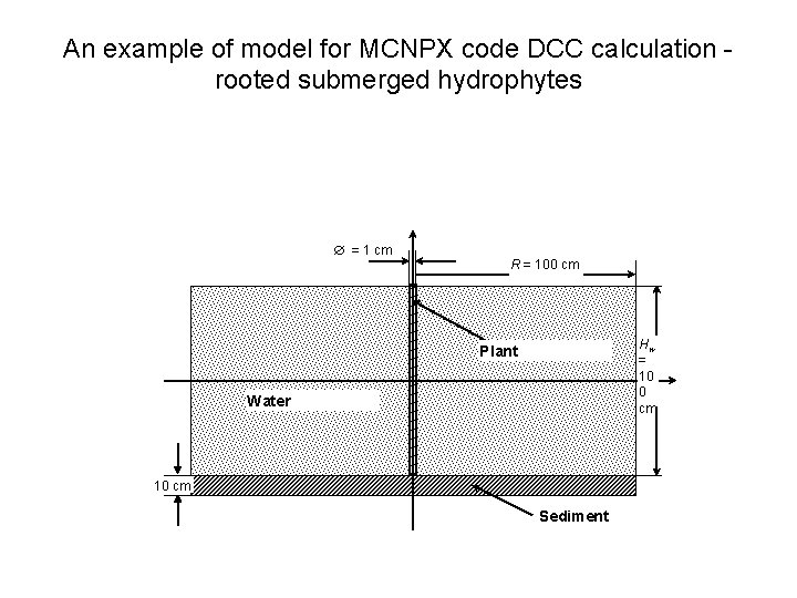 An example of model for MCNPX code DCC calculation rooted submerged hydrophytes = 1