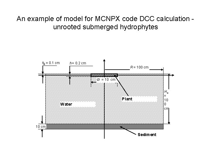 An example of model for MCNPX code DCC calculation unrooted submerged hydrophytes h 0