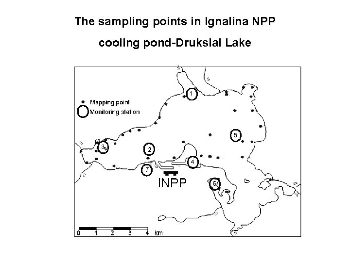 The sampling points in Ignalina NPP cooling pond-Druksiai Lake 