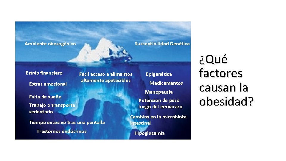 Ambiente obesogénico Estrés financiero Estrés emocional Susceptibilidad Genética Fácil acceso a alimentos altamente apetecibles