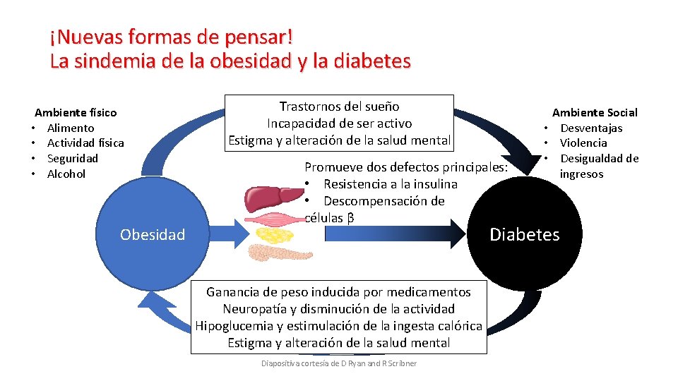 ¡Nuevas formas de pensar! La sindemia de la obesidad y la diabetes Ambiente físico