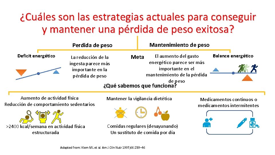 ¿Cuáles son las estrategias actuales para conseguir y mantener una pérdida de peso exitosa?