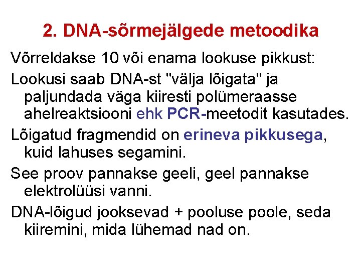 2. DNA-sõrmejälgede metoodika Võrreldakse 10 või enama lookuse pikkust: Lookusi saab DNA-st "välja lõigata"