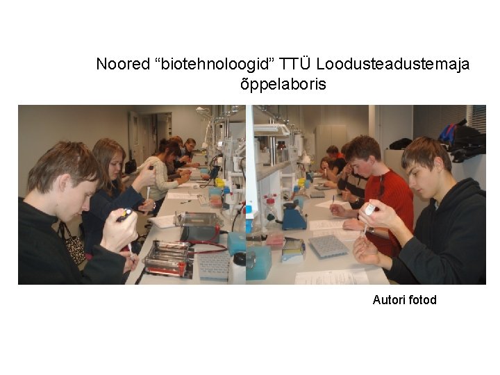 Noored “biotehnoloogid” TTÜ Loodusteadustemaja õppelaboris Autori fotod 