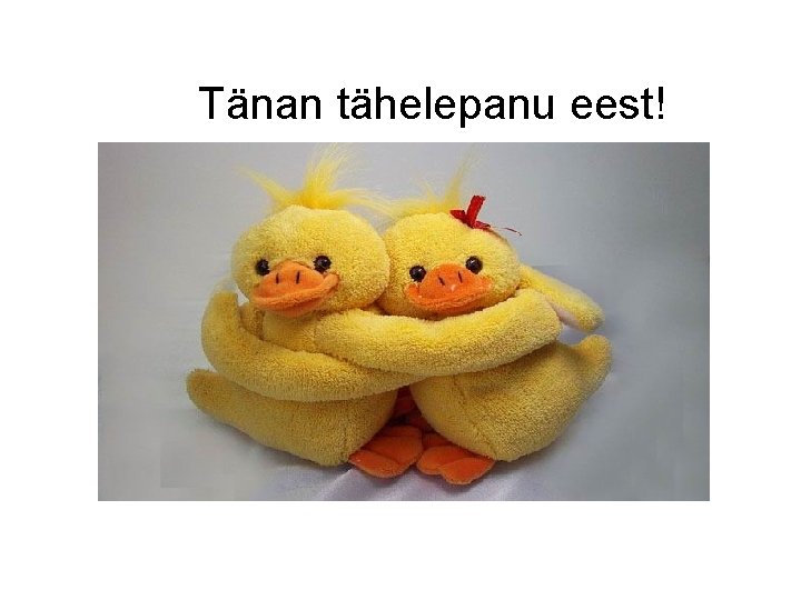 Tänan tähelepanu eest! 